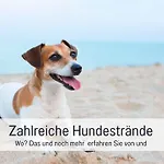 Apartamento Olive - Ruhe & Entspannung In 2-zi-fewo Mit Garten-whirlpool, Terrasse & Hund Willkommen By Ferienwohnenamsee *