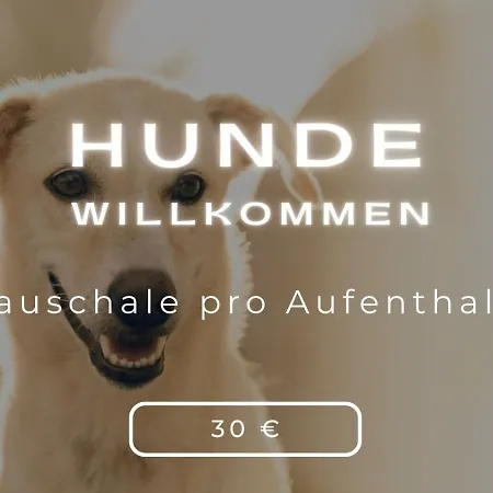 Olive - Ruhe & Entspannung In 2-zi-fewo Mit Garten-whirlpool, Terrasse & Hund Willkommen By Ferienwohnenamsee