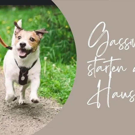 Apartment Olive - Ruhe & Entspannung In 2-zi-fewo Mit Garten-whirlpool, Terrasse & Hund Willkommen By Ferienwohnenamsee
