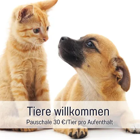 Olive - Ruhe & Entspannung In 2-zi-fewo Mit Garten-whirlpool, Terrasse & Hund Willkommen By Ferienwohnenamsee Appartamento