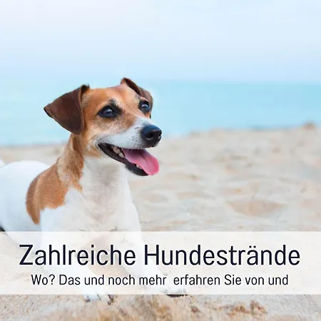 Apartamento Olive - Ruhe & Entspannung In 2-zi-fewo Mit Garten-whirlpool, Terrasse & Hund Willkommen By Ferienwohnenamsee *