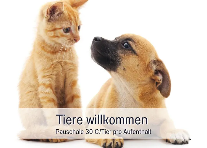 Olive - Ruhe & Entspannung In 2-zi-fewo Mit Garten-whirlpool, Terrasse & Hund Willkommen By Ferienwohnenamsee Апартаменты