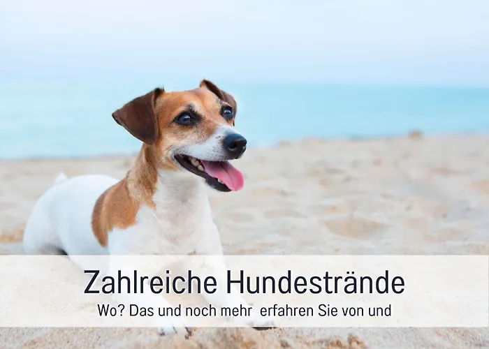 아파트 Olive - Ruhe & Entspannung In 2-zi-fewo Mit Garten-whirlpool, Terrasse & Hund Willkommen By Ferienwohnenamsee *